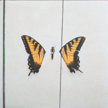 Paramore - Brand New Eyes - Vinyl |