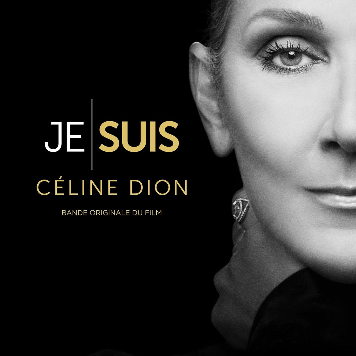 Celine Dion - I Am: Celine Dion - Vinyl |