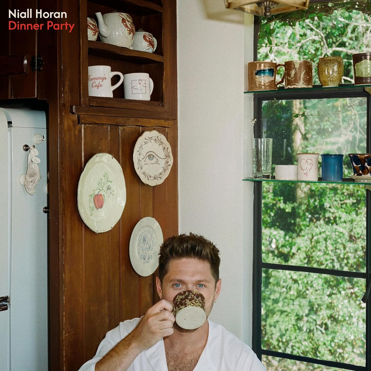 Niall Horan - Dinner Party - Color Vinyl |