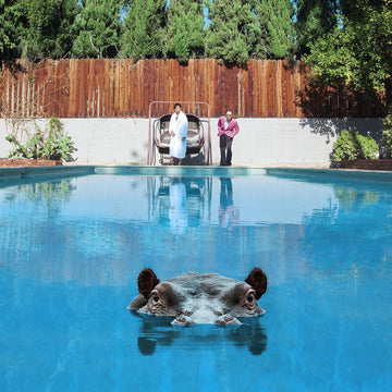 Sparks - Hippopotamus - Vinyl