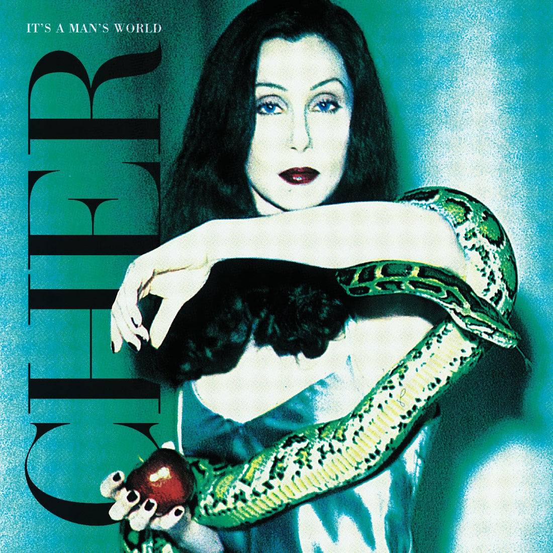 Cher - Its A Mans World - Vinyl |