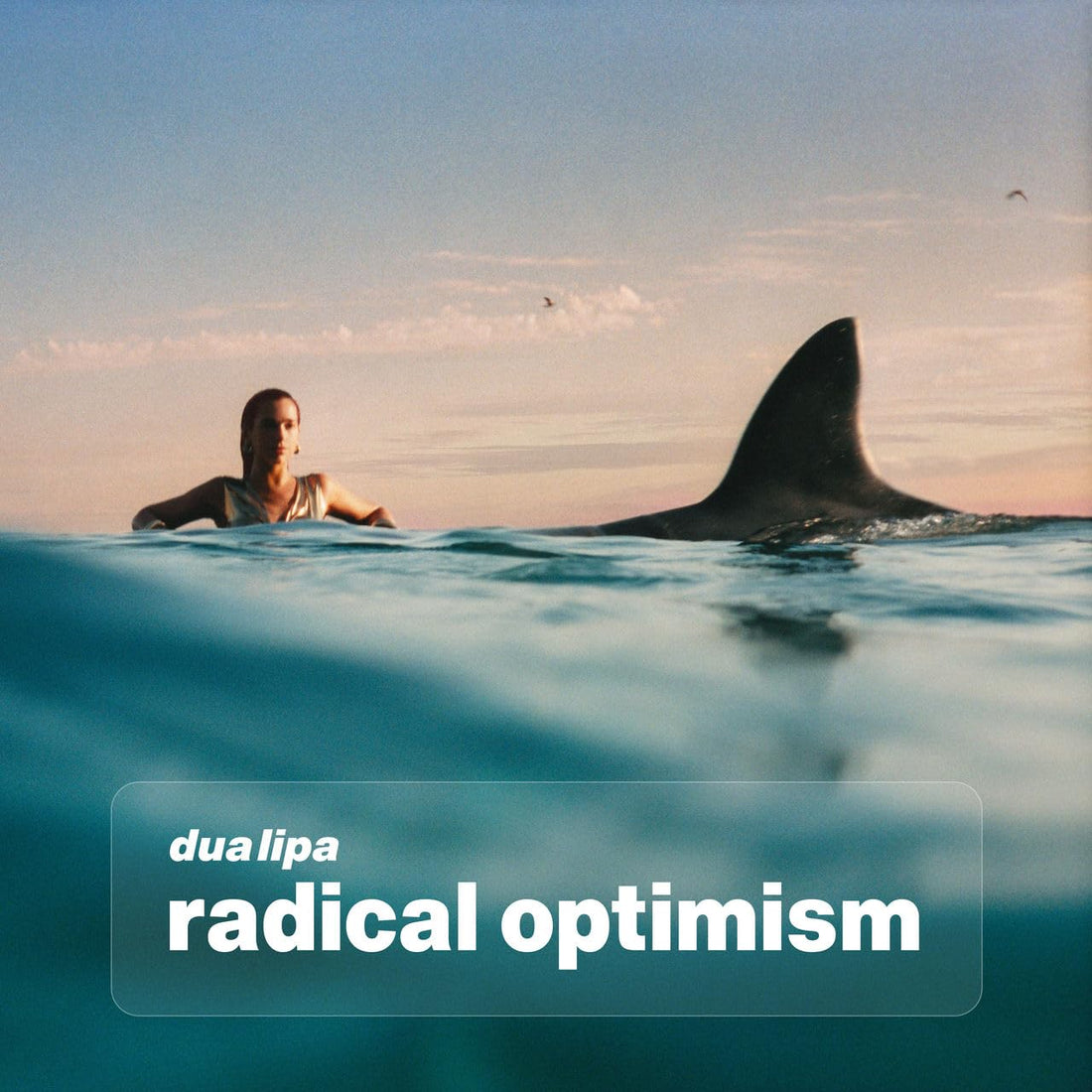 Dua Lipa - Radical Optimism - Red Color Vinyl |