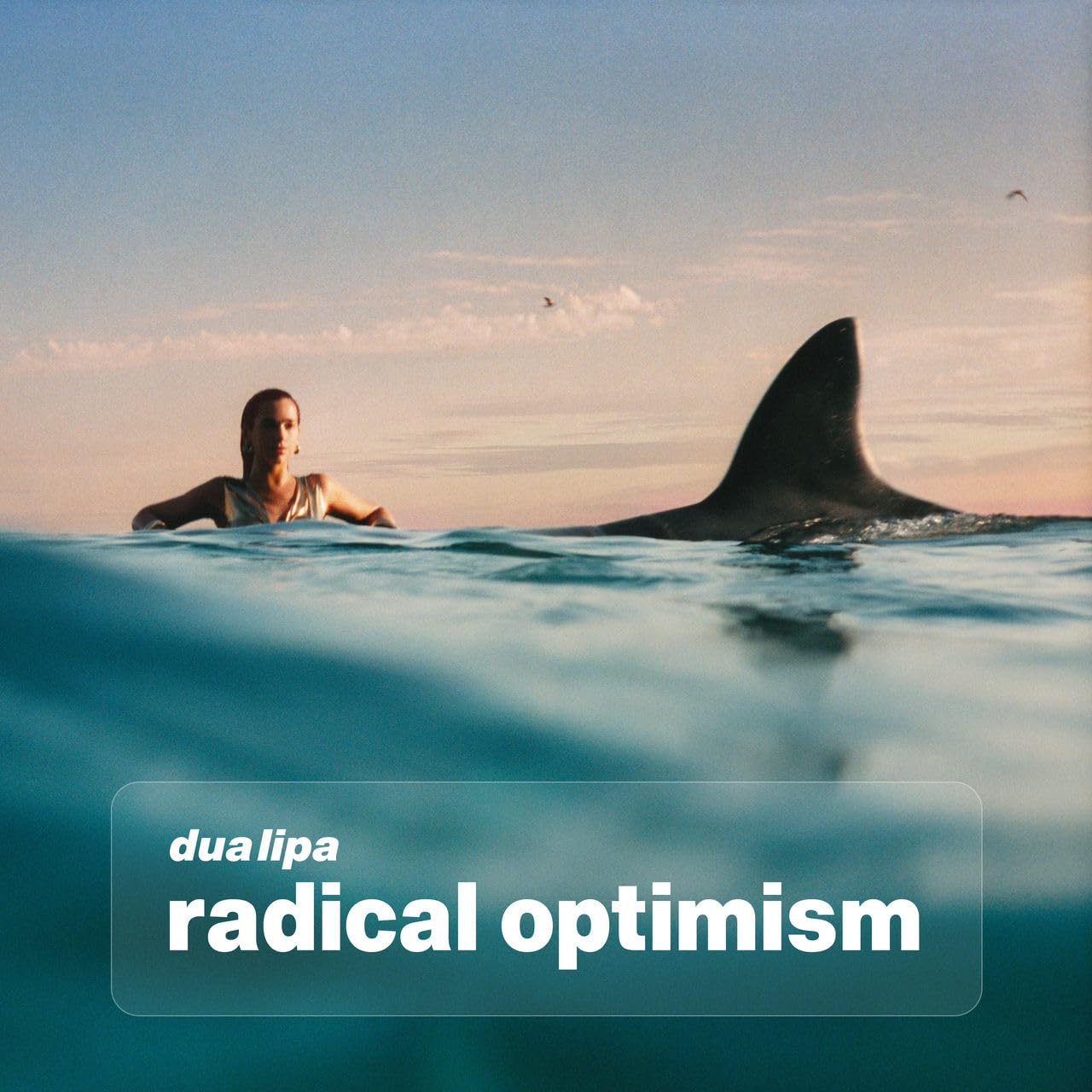 Dua Lipa - Radical Optimism - Red Color Vinyl |