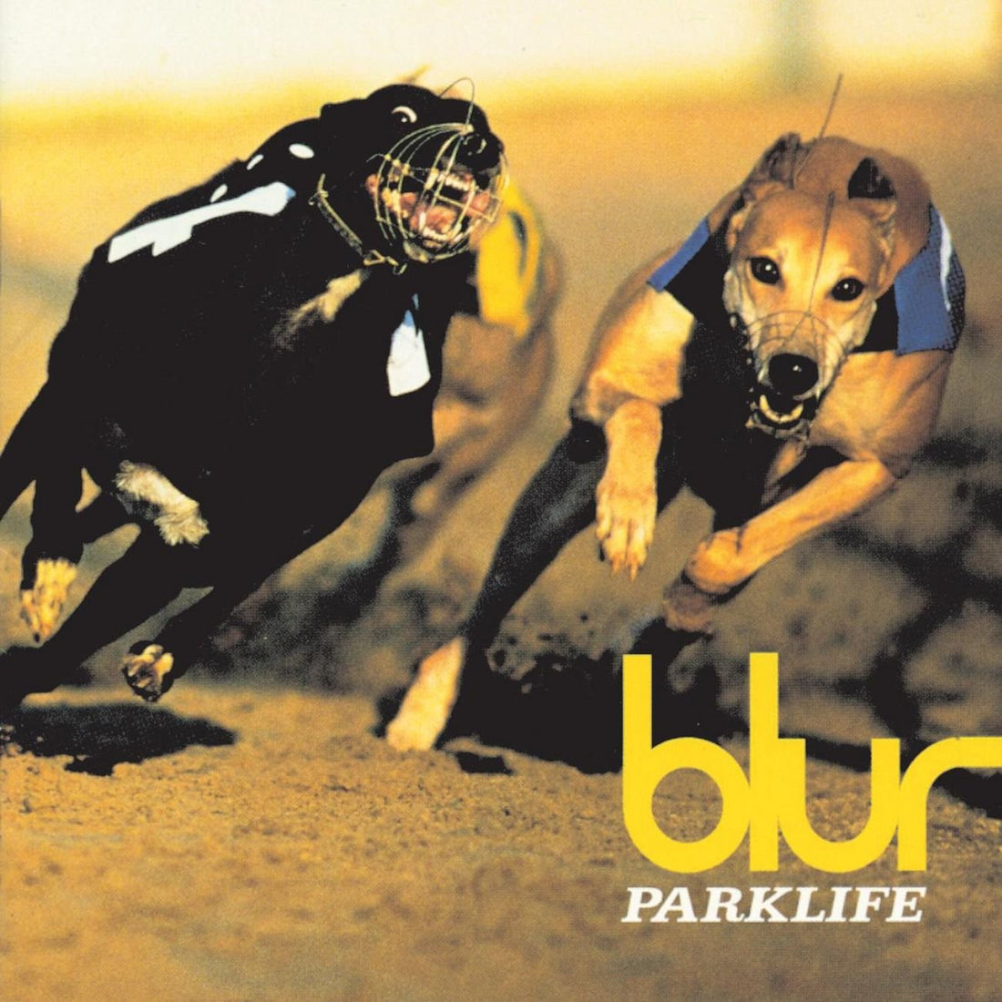 Blur - Parklife Special Edition - Vinyl |