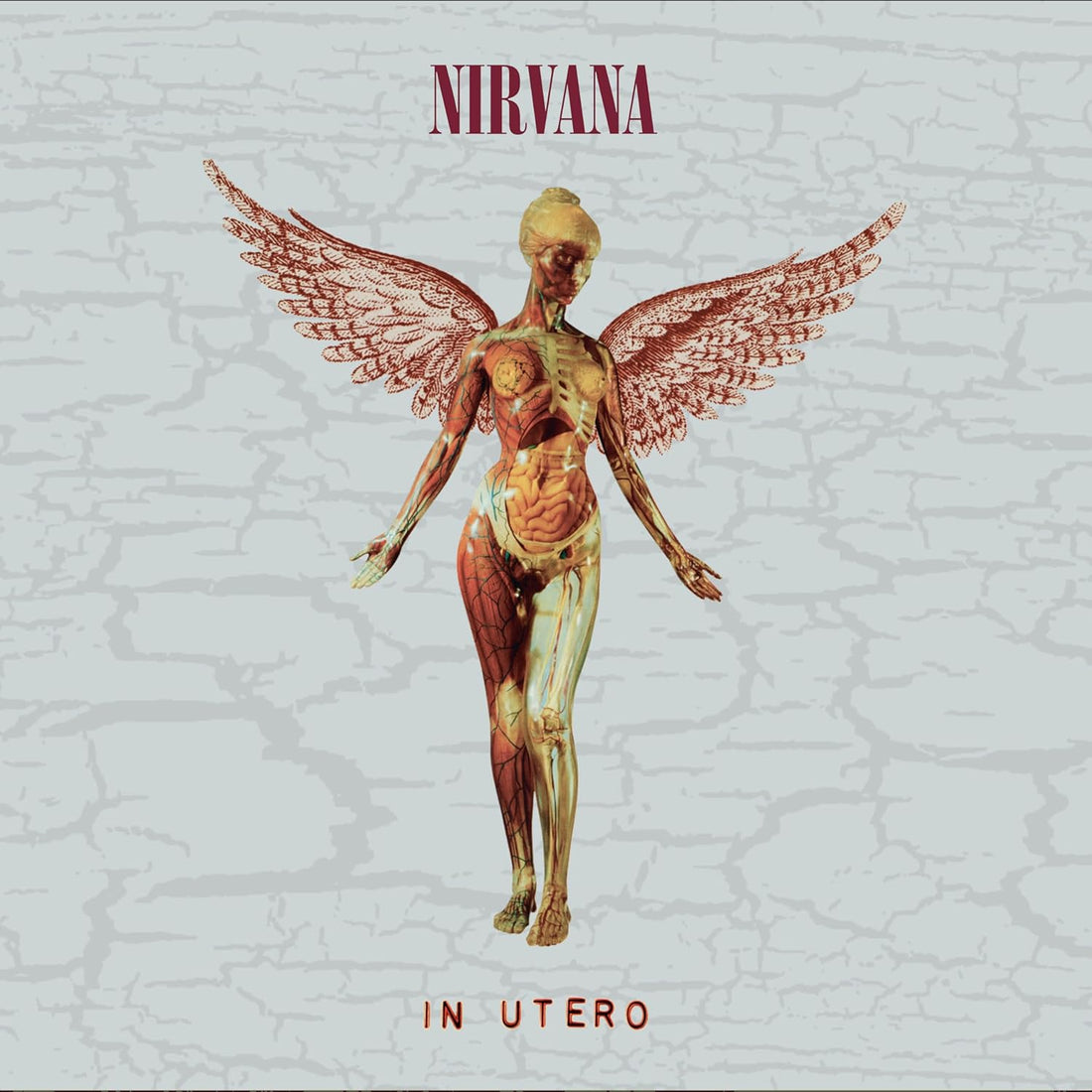 Nirvana - In Utero [ 5 CD ] |