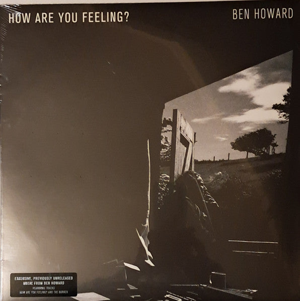 Ben Howard - Hoe Are You Feeling - Vinyl |