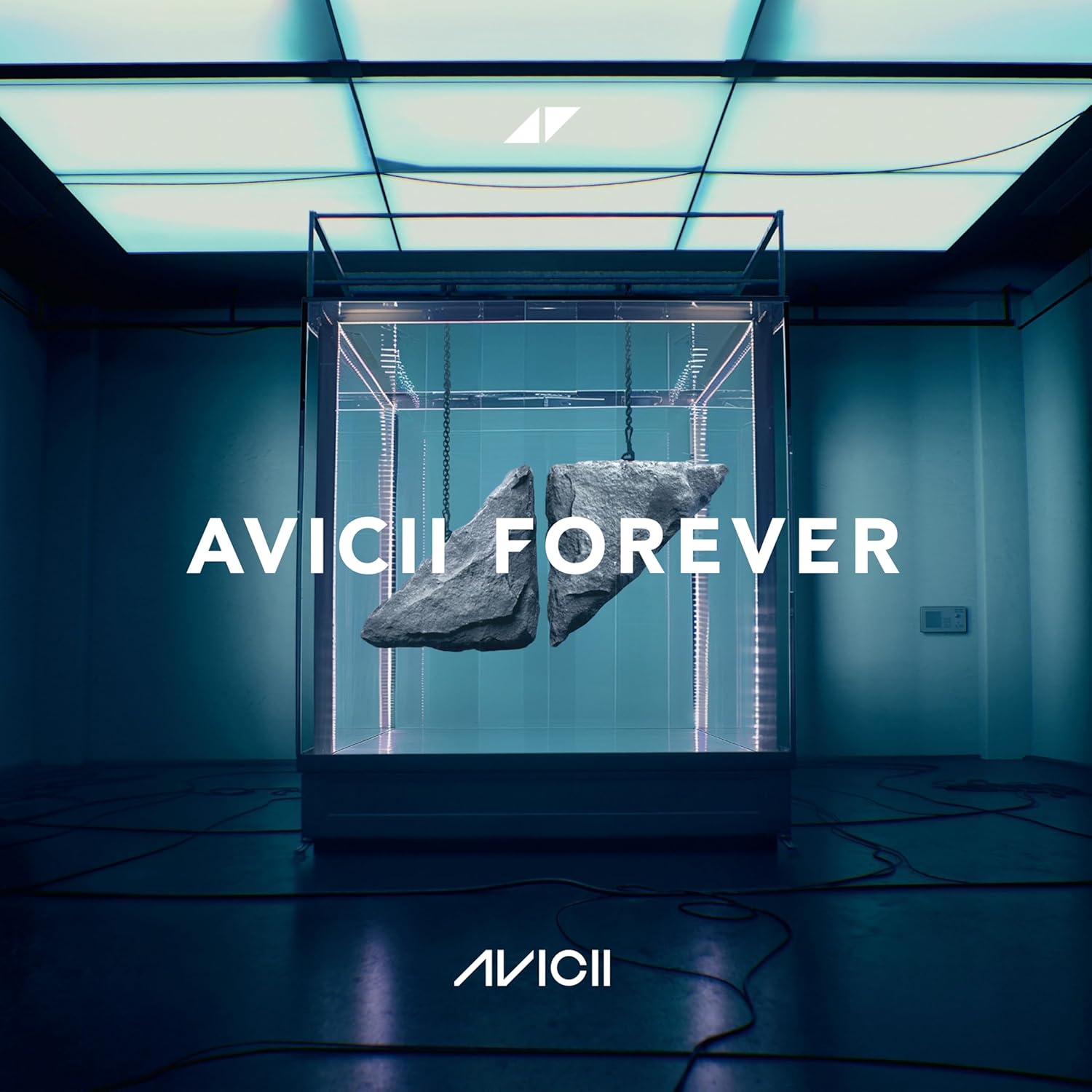 Avicii  - Avicii Forever  - Vinyl