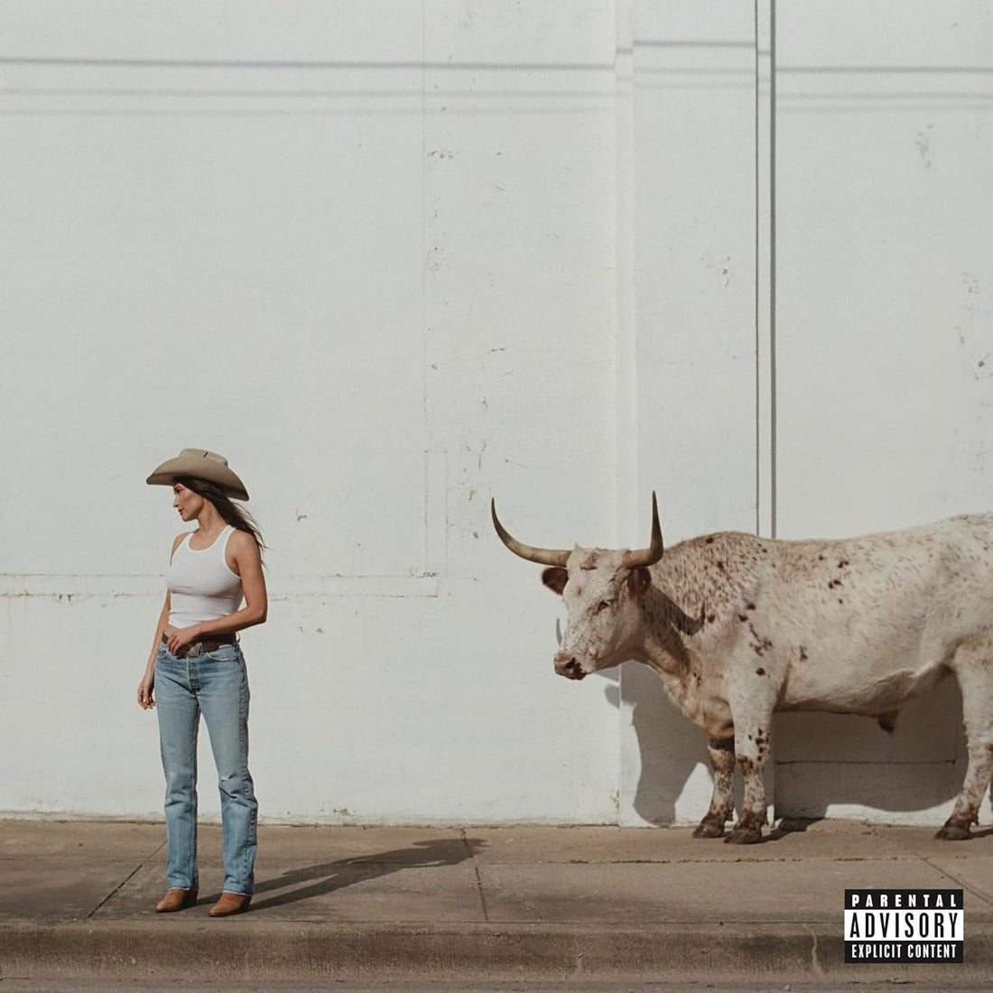 Kacey Musgraves - Middle Of Nowhere - CD |