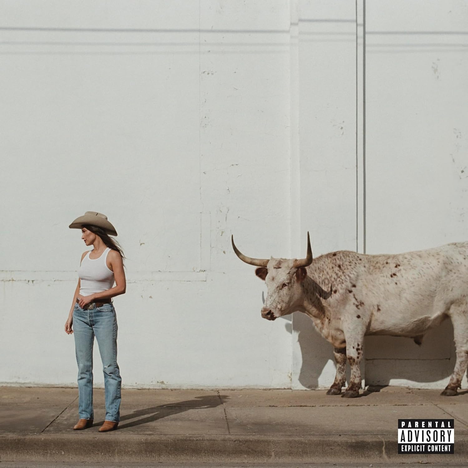 Kacey Musgraves - Middle Of Nowhere - CD |