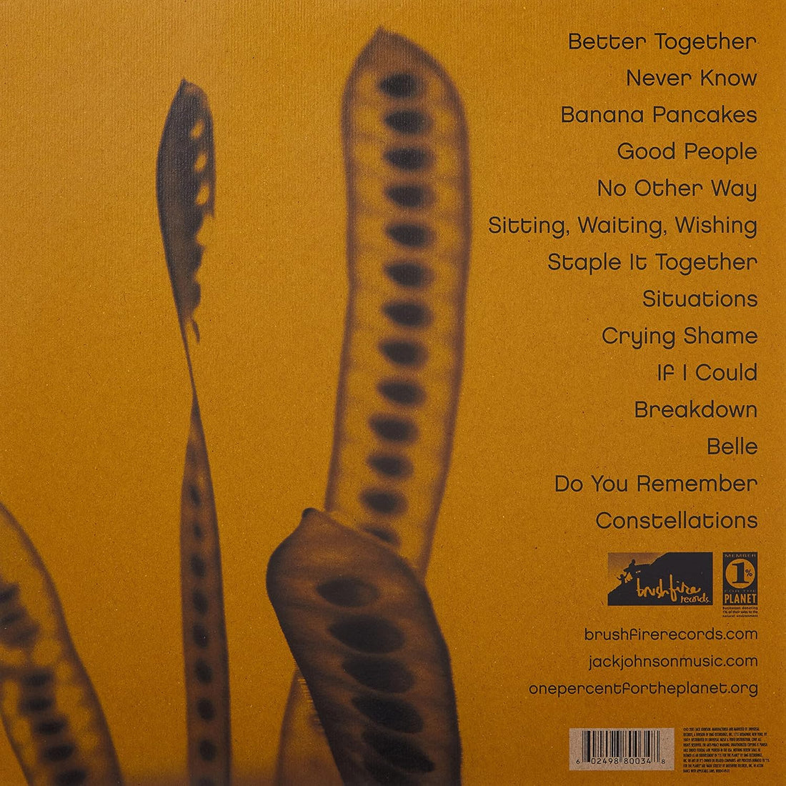 Jack Johnson - In Between Dreams - Vinyl |