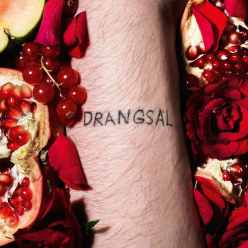 Drangsal - Harieschaim - Vinyl