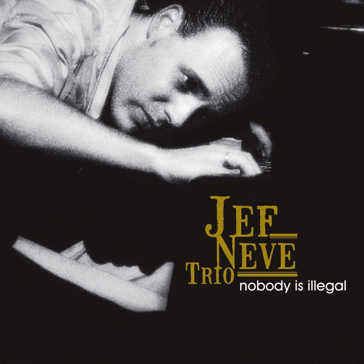 Jef Neve Trio - Nobody Is Illegal - Vinyl