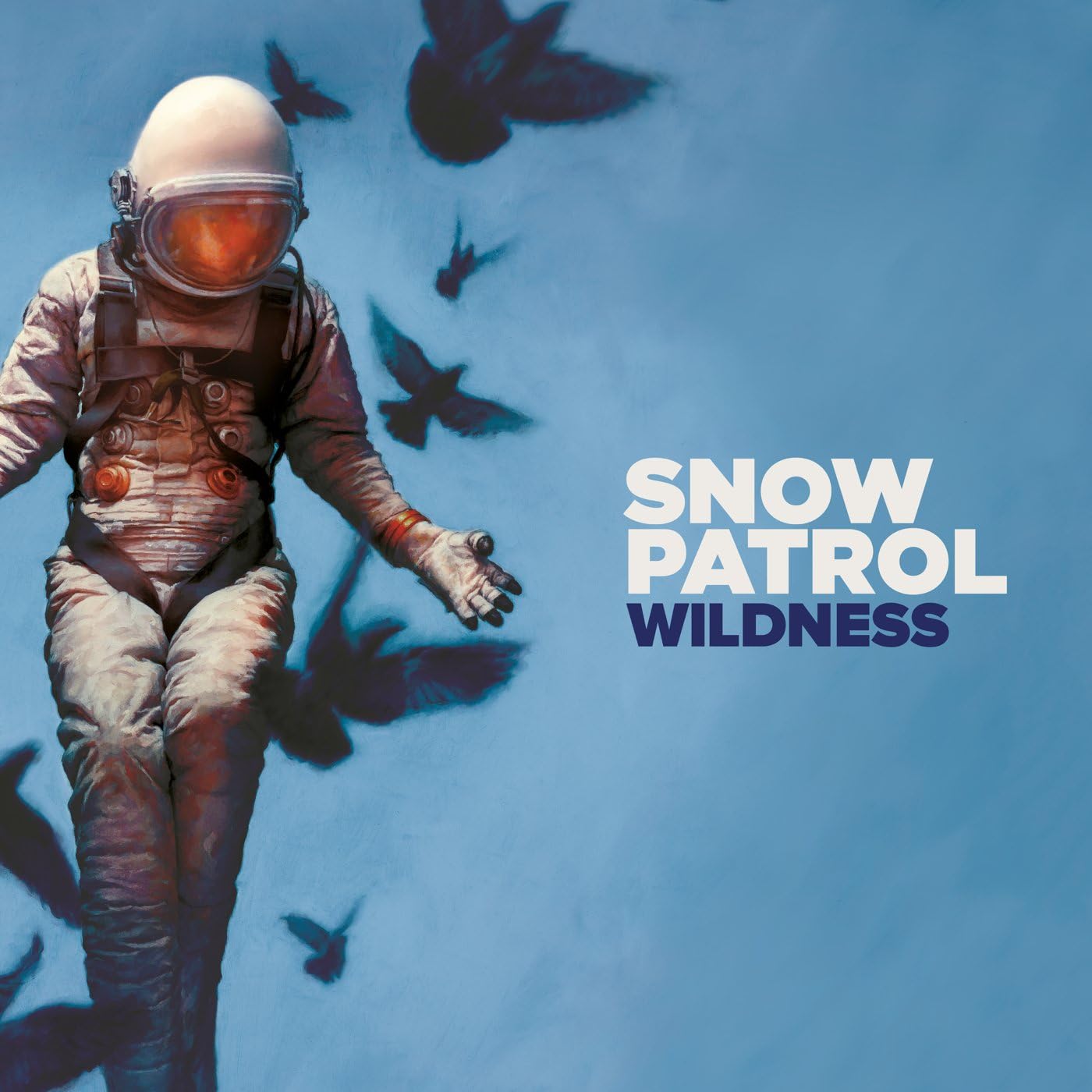 Snow Patrol - Wildness - Vinyl