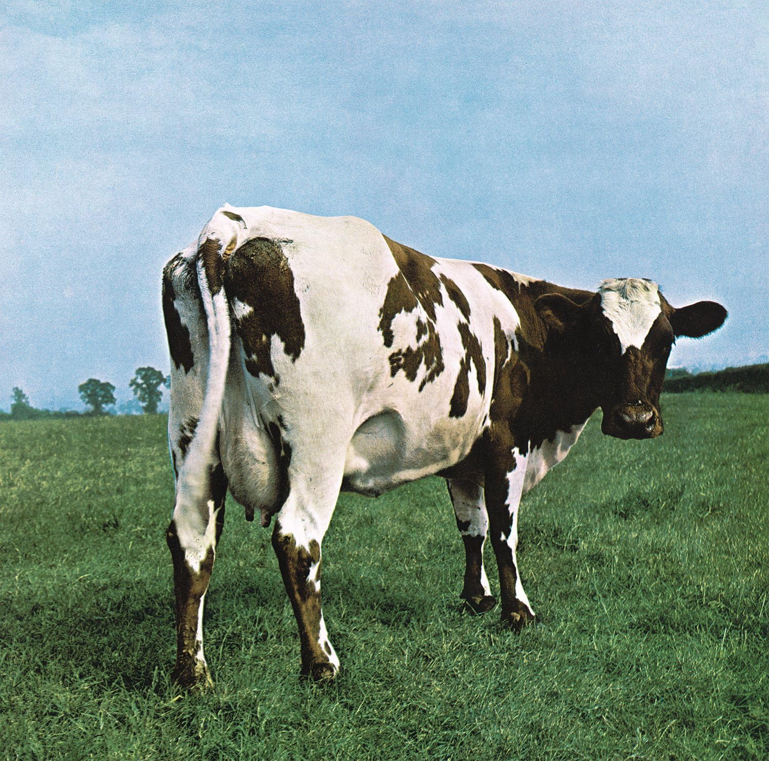 Pink Floyd