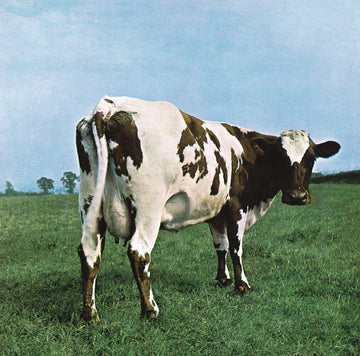 Pink Floyd