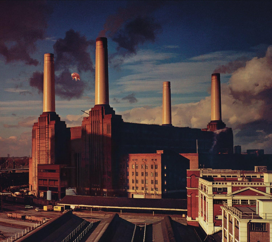 Pink Floyd - Animals - Vinyl |
