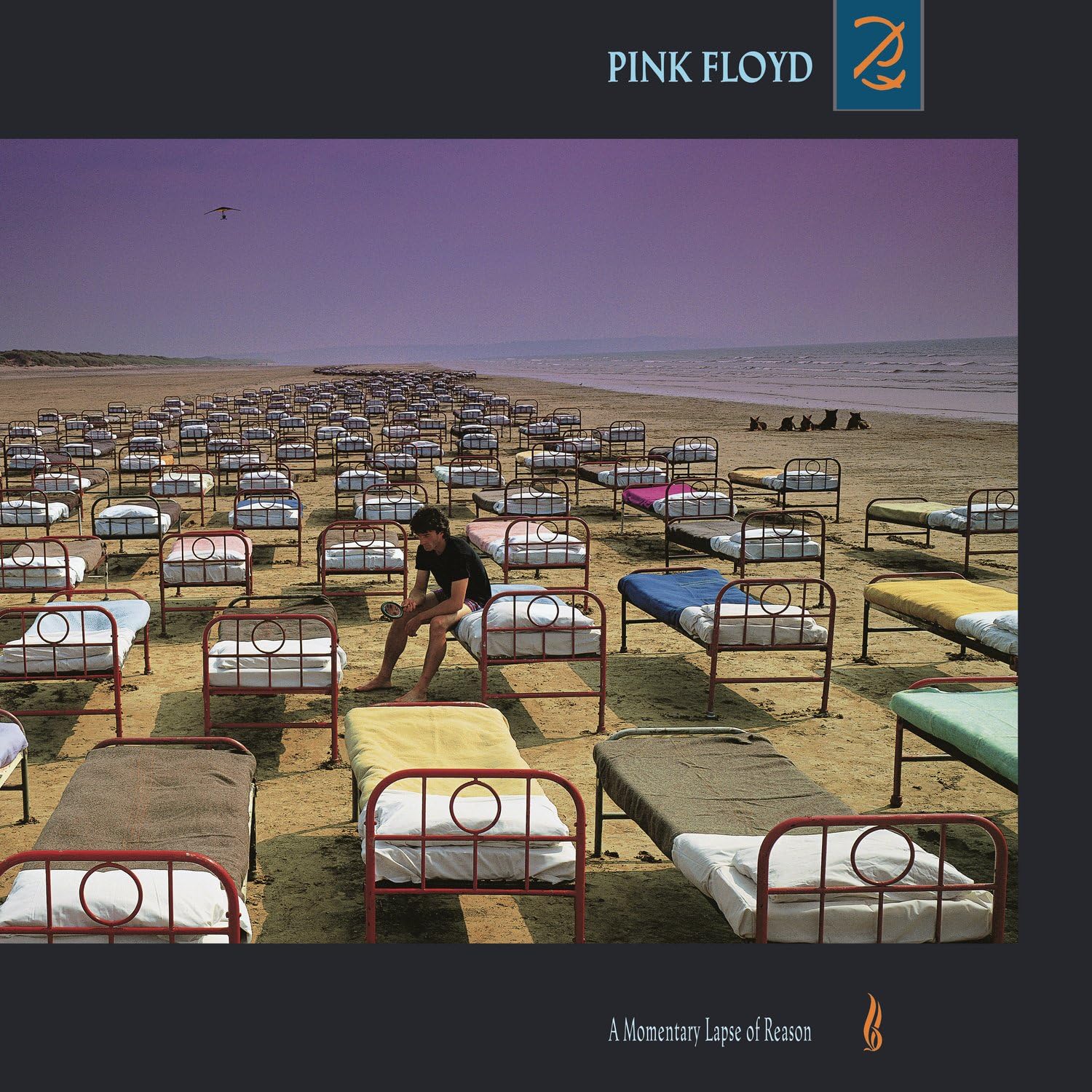 Pink Floyd 
